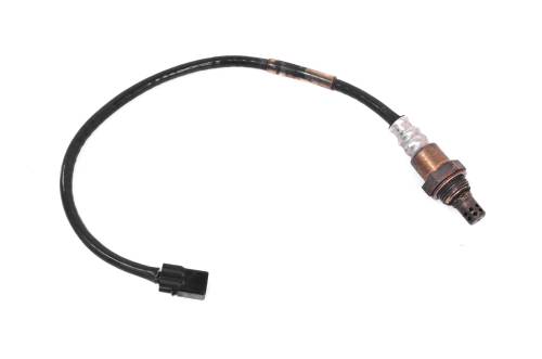 Electrical & Ignition - Sensors