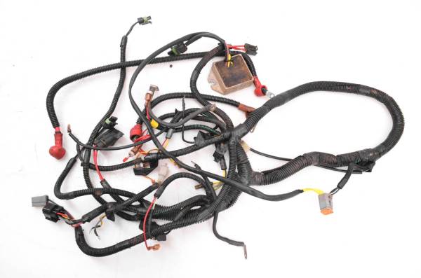 Can-Am - 05 Can-Am Rally 200 175 2x4 Wire Harness Electrical Wiring