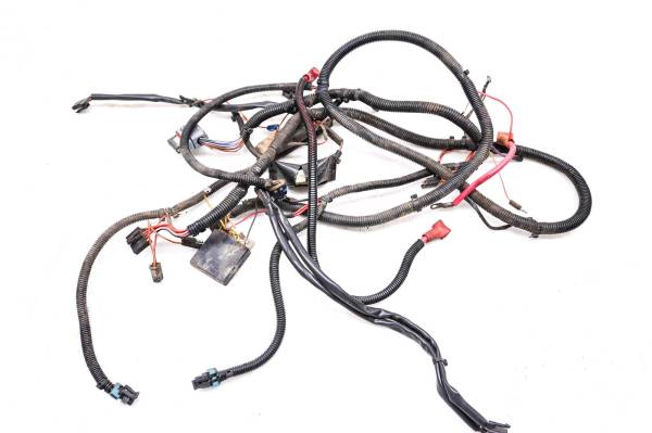 Polaris - 02 Polaris Sportsman 700 4x4 Wire Harness Electrical Wiring