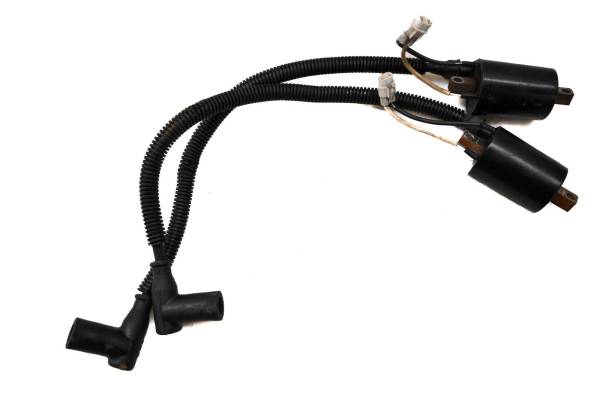 Polaris - 08 Polaris 700 IQ HO Cleanfire Ignition Coils 121"