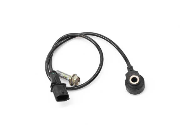 Polaris - 21 Polaris 850 AXYS PRO RMK Knock Noise Sensor 155"