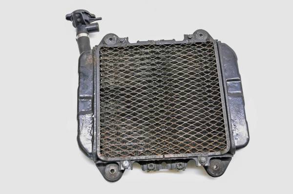 Kawasaki - 07 Kawasaki Ninja 250 Radiator EX250