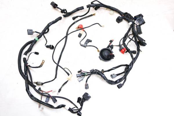 Kawasaki - 19 Kawasaki KLX250 Wire Harness Electrical Wiring