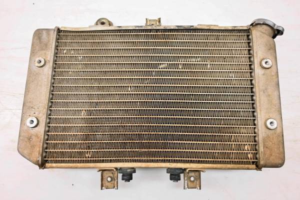 Polaris - 03 Polaris Predator 500 2x4 Radiator