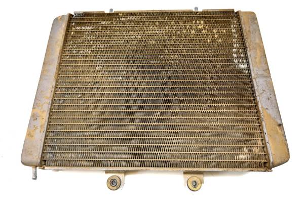 Polaris - 08 Polaris RZR 800 EFI 4x4 Radiator