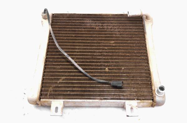 Polaris - 00 Polaris Sportsman 500 4x4 Radiator & Thermo Sensor