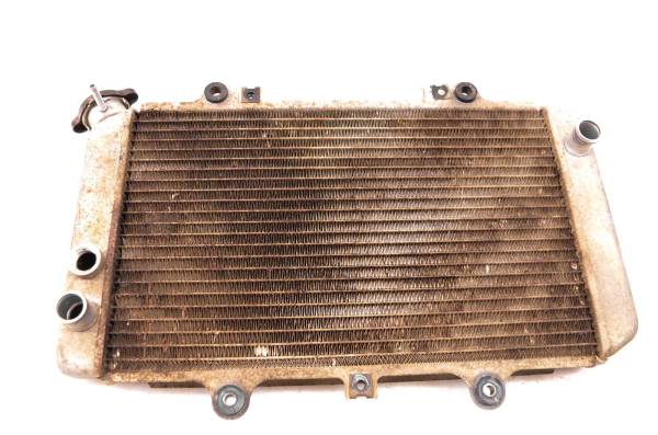 Yamaha - 05 Yamaha Grizzly 660 4x4 Radiator YFM660F