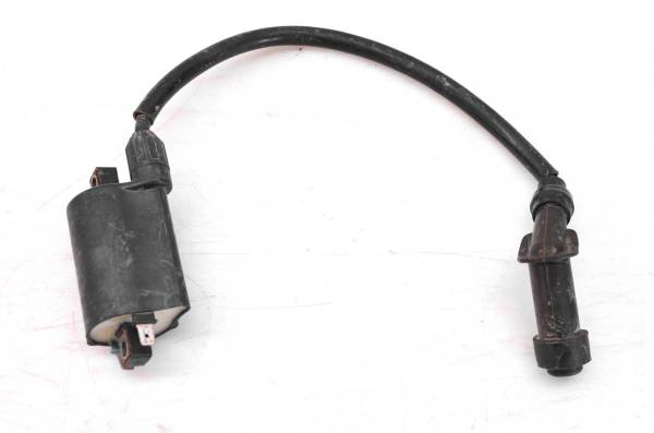 Can-Am - 05 Can-Am Rally 175 200 2x4 Ignition Coil