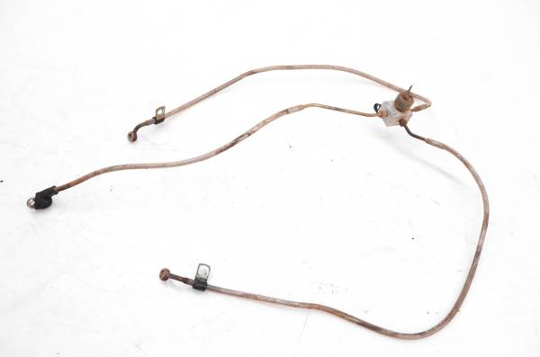 Polaris - 07 Polaris Sportsman 450 4x4 Front Brake Lines