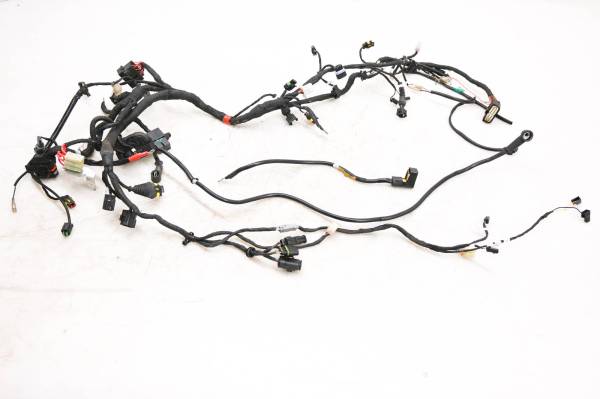 Ducati - 14 Ducati Monster 796 ABS Wire Harness Electrical Wiring