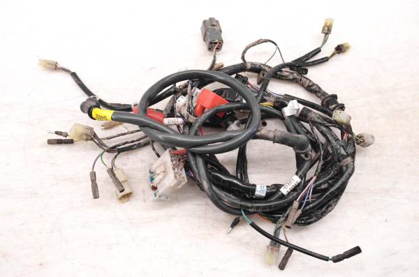 Arctic Cat - 19 Arctic Cat Alterra 300 2x4 Wire Harness Electrical Wiring