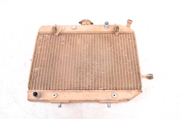 Honda - 05 Honda Rincon 650 4x4 Radiator TRX650FA