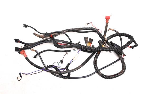 Polaris - 01 Polaris Trail Blazer 250 2x4 Wire Harness Electrical Wiring