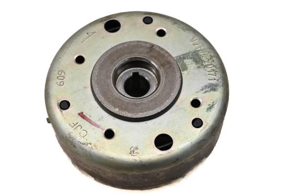 Can-Am - 12 Can-Am DS90 X 2x4 Flywheel Magneto