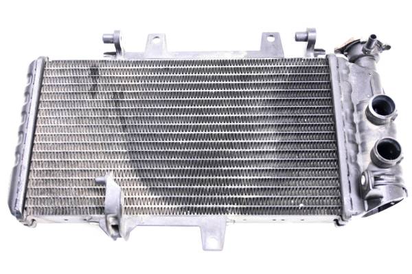 BMW - 16 BMW F700GS Radiator