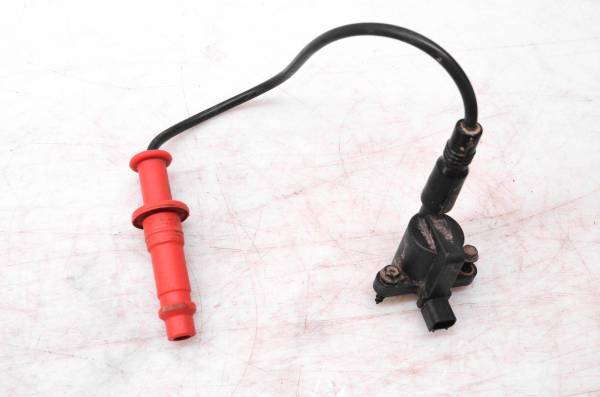 Polaris - 10 Polaris Sportsman 550 4x4 Ignition Coil