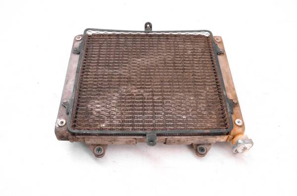 Kawasaki - 08 Kawasaki Teryx 750 4x4 Radiator KRF750