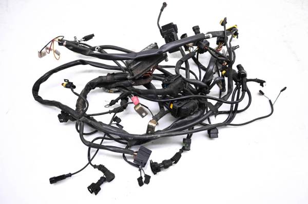 Ducati - 04 Ducati Monster 800S Wire Harness Electrical Wiring