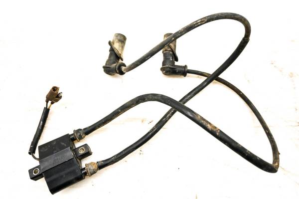 Polaris - 04 Polaris Sportsman 700 4x4 Ignition Coil