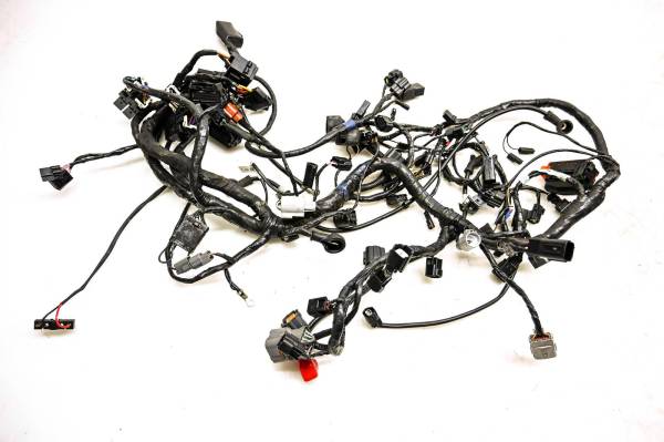 13 Triumph Tiger 1200 Explorer ABS Wire Harness Electrical Wiring