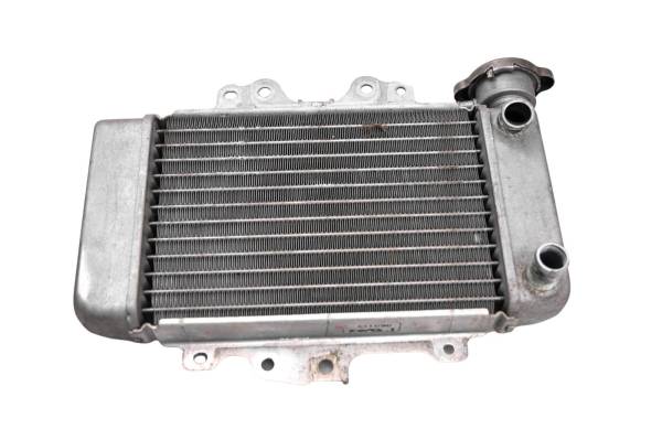 Honda - 10 Honda SH150i Radiator