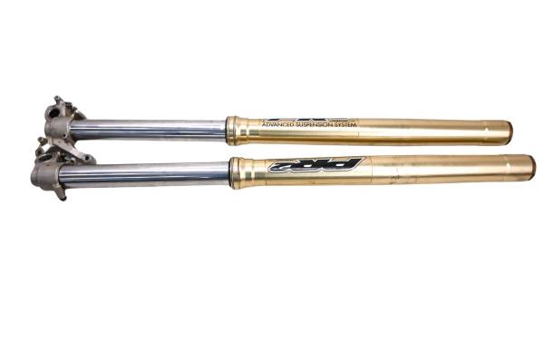 Suzuki - 09 Suzuki RMZ250 Front Forks Suspension