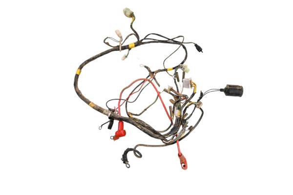 Polaris - 15 Polaris Phoenix 200 2x4 Wire Harness Electrical Wiring