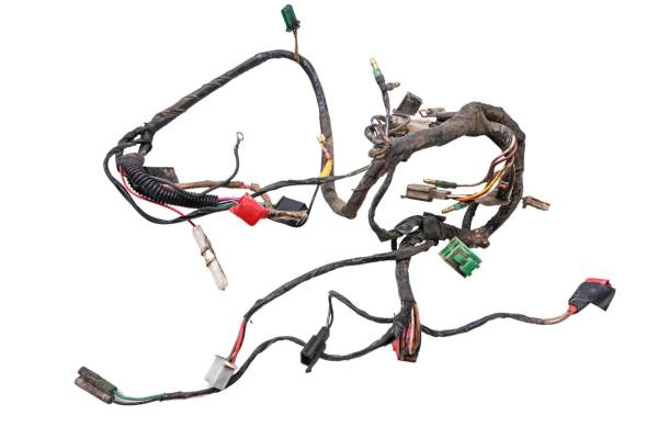 Polaris - 04 Polaris Sportsman 90 2x4 Wire Harness Electrical Wiring