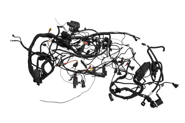 BMW - 08 BMW F800ST Wire Harness Electrical Wiring