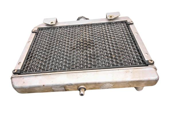 19 CFMoto CForce 600 4x4 Radiator