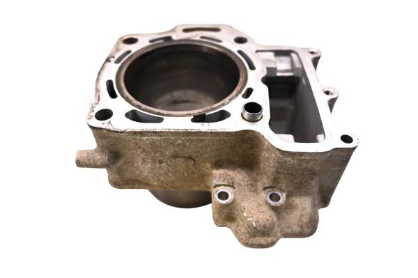 Kawasaki - 08 Kawasaki Brute Force 650 4x4 Front Cylinder KVF650