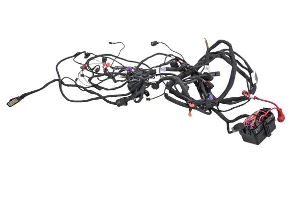 Can-Am - 21 Can-Am Ryker 900 Ace Wire Harness Electrical Wiring