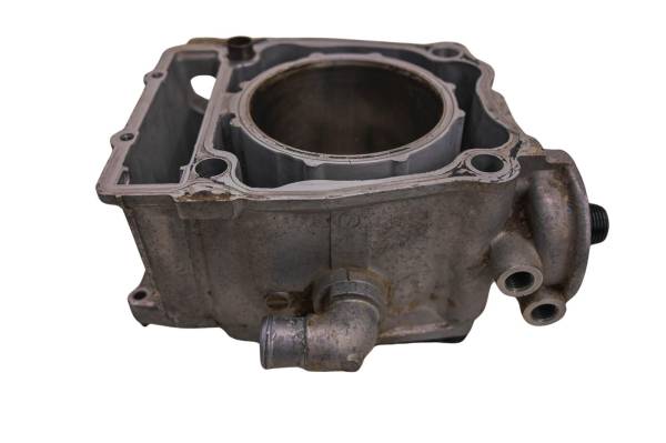 Polaris - 02 Polaris Sportsman 500 HO Cylinder