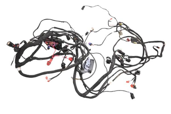 Can-Am - 21 Can-Am Ryker Rally 900 Wire Harness Electrical Wiring