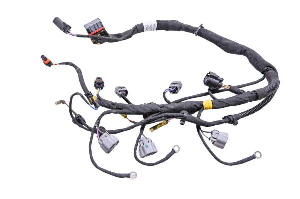 Can-Am - 19 Can-Am Ryker Rally 900 Ace Engine Wire Harness