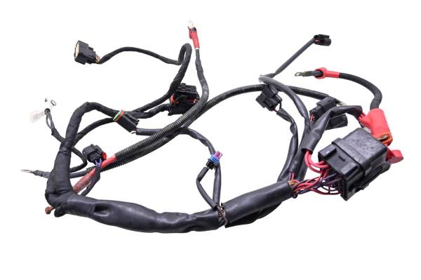 Sea-Doo - 16 Sea-Doo Spark 900 ACE Wire Harness Electrical Wiring