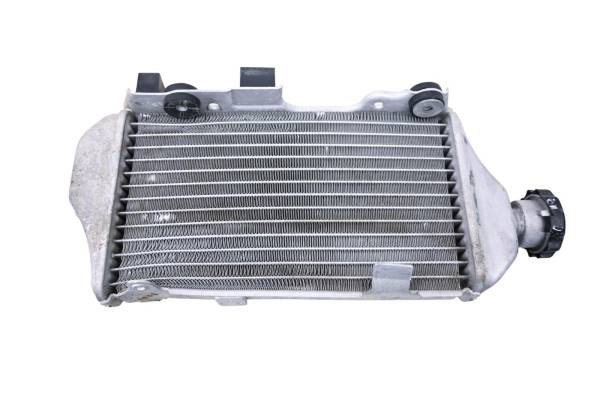 Honda - 14 Honda CRF250L Radiator