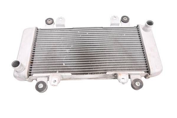 Kawasaki - 17 Kawasaki Ninja 300 Radiator EX300