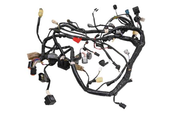 Kawasaki - 17 Kawasaki Ninja 300 Wire Harness Electrical Wiring EX300