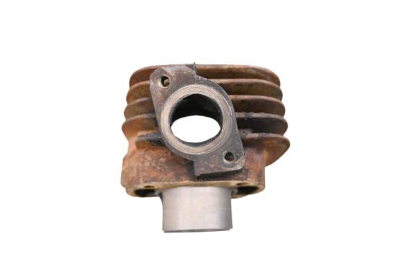 E-Ton - 05 E-Ton Viper 70 Cylinder