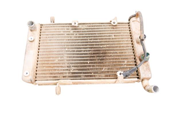 Arctic Cat - 04 Arctic Cat DVX400 Radiator LTZ400 KFX400
