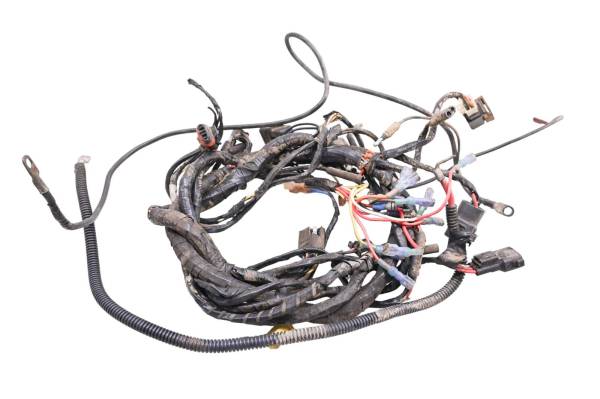 Arctic Cat - 02 Arctic Cat 500 4x4 FIS Auto Wire Harness Electrical Wiring