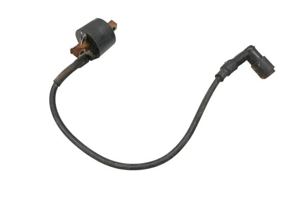 Polaris - 91 Polaris Trail Boss 350L 4x4 Ignition Coil