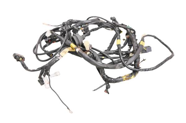 Yamaha - 07 Yamaha Rage Wire Harness Electrical Wiring RSG90W