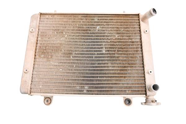 Polaris - 08 Polaris Ranger 700 XP 4x4 Radiator
