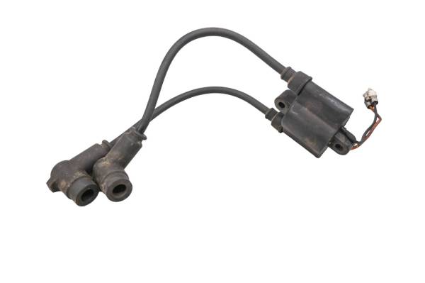 Polaris - 01 Polaris Indy Supersport 550 Edge Ignition Coil