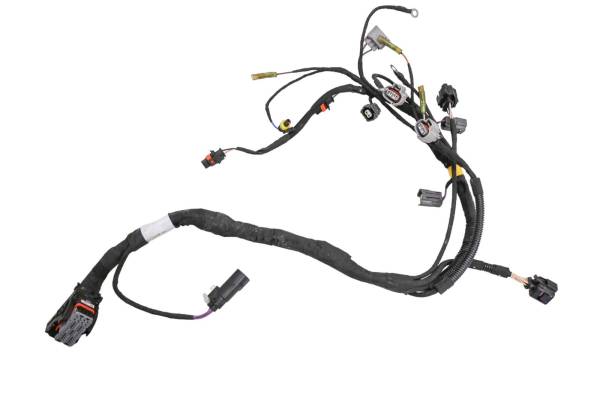 Can-Am - 20 Can-Am Ryker 900 Ace Rally Engine Wire Harness Electrical Wiring