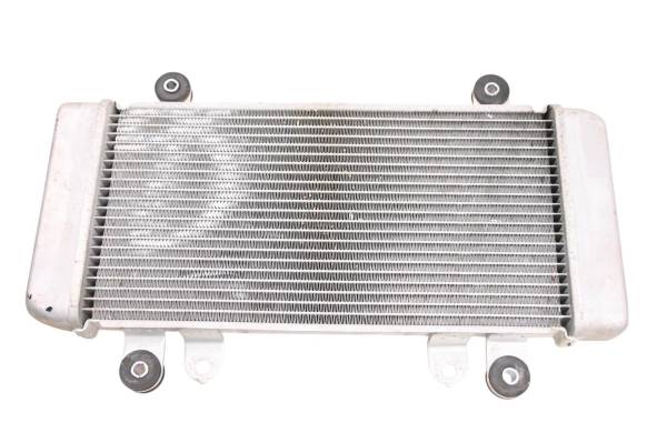 Kawasaki - 16 Kawasaki Ninja 300 Radiator EX300