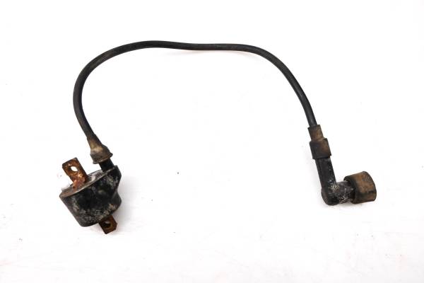 Polaris - 99 Polaris Trail Boss 250 2x4 Ignition Coil