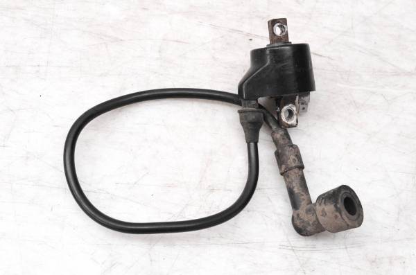 Polaris - 00 Polaris Xplorer 250 4x4 Ignition Coil